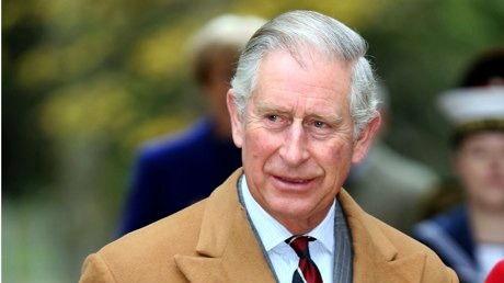 英国查尔斯爆料视频大全,揭秘王室不为人知的秘密  第1张